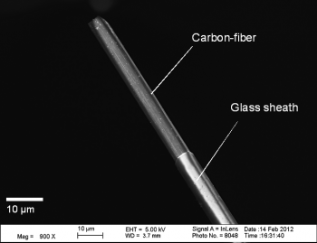 Image of a carbon fiber microelectrode taken using a scanning electron microscope