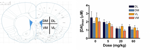 Figure showing different quadrants of a rate brain along with dopamine release in rats treated with different dosages of carboplatin